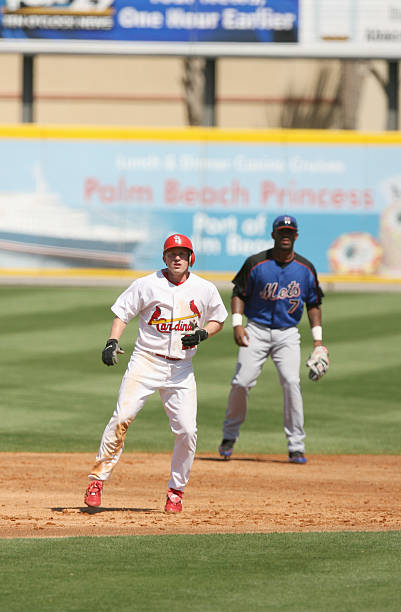 David Eckstein