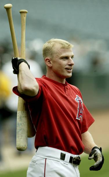 David Eckstein