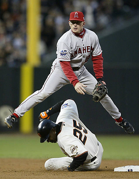 David Eckstein