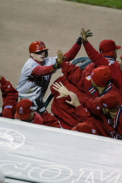 David Eckstein