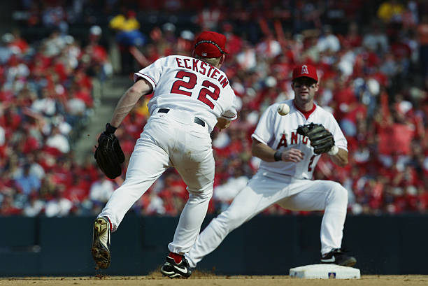David Eckstein