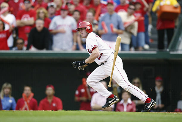 David Eckstein