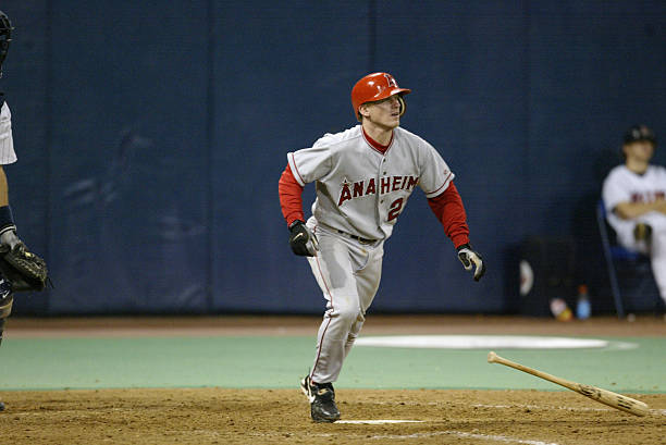 David Eckstein