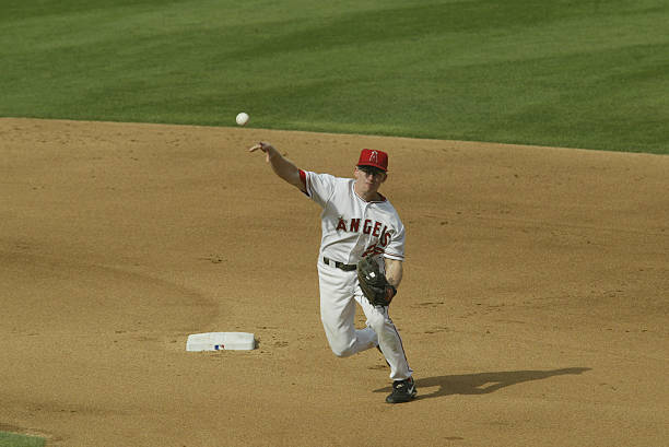 David Eckstein