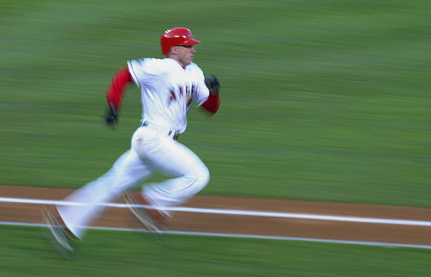 David Eckstein