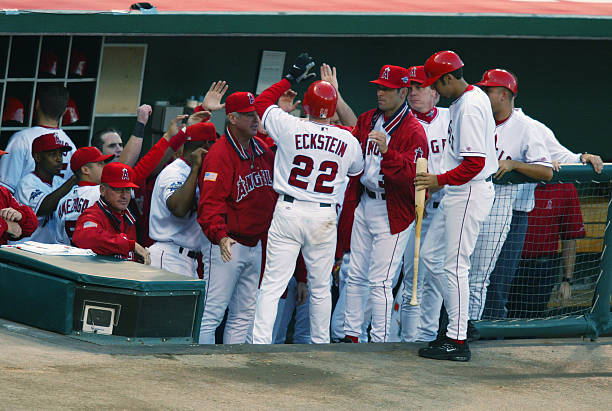 David Eckstein