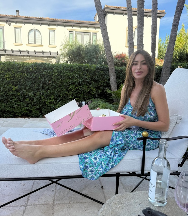 Sofía Vergara