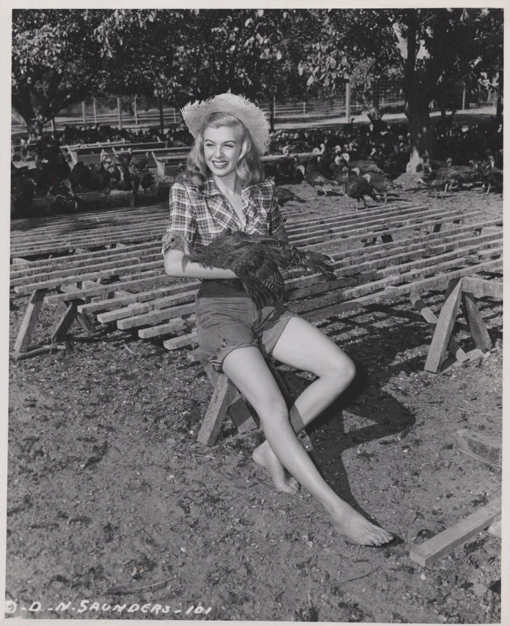 Nancy Saunders