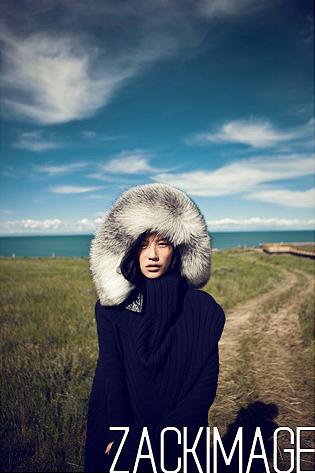 Liu Wen