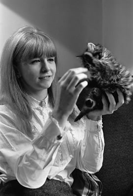 Jane Asher picture