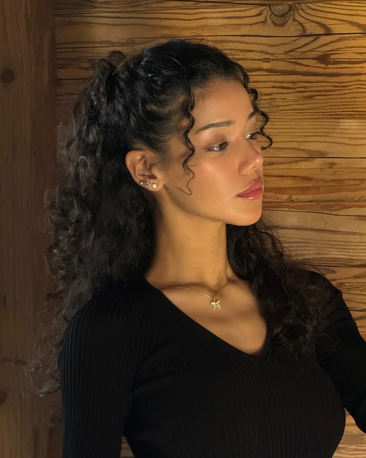 dina denoire