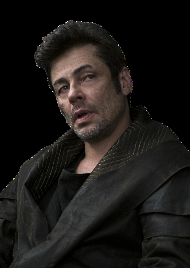 DJ
