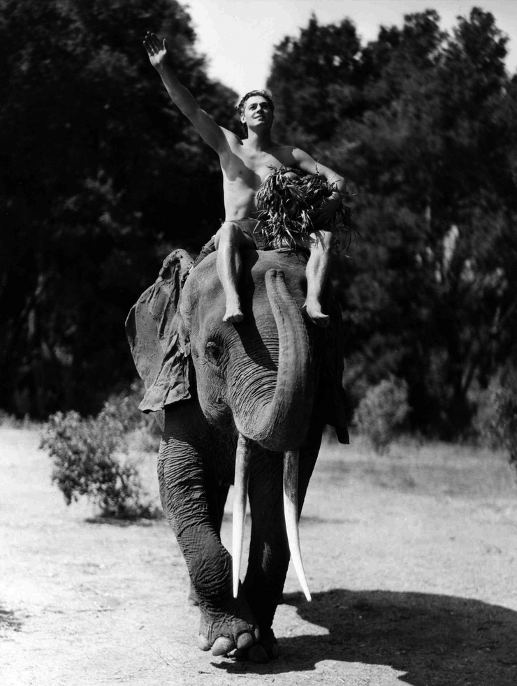 Johnny Weissmuller Johnny Weissmuller