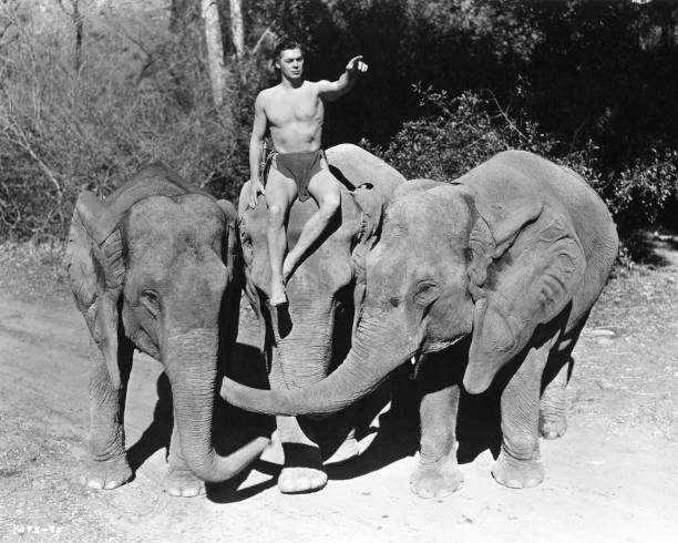Johnny Weissmuller Johnny Weissmuller
