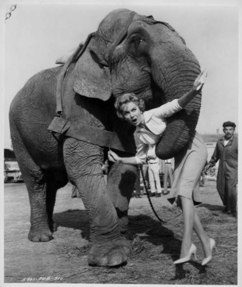 Rhonda Fleming Rhonda Fleming