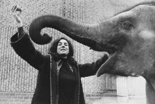Eleanor Bron Eleanor Bron