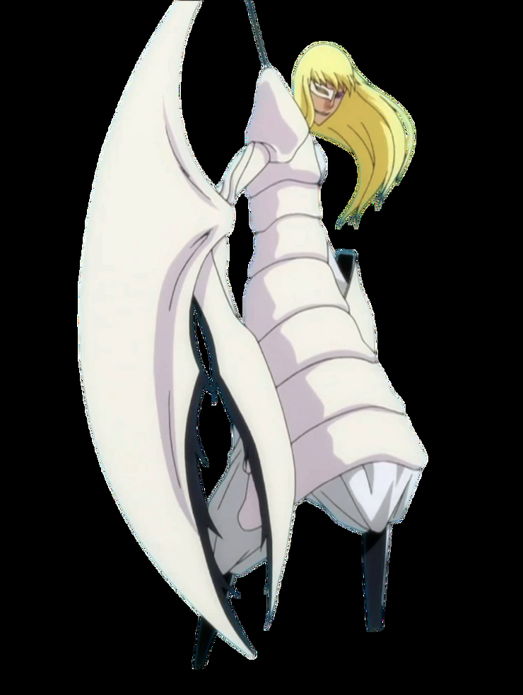 Findorr Calius