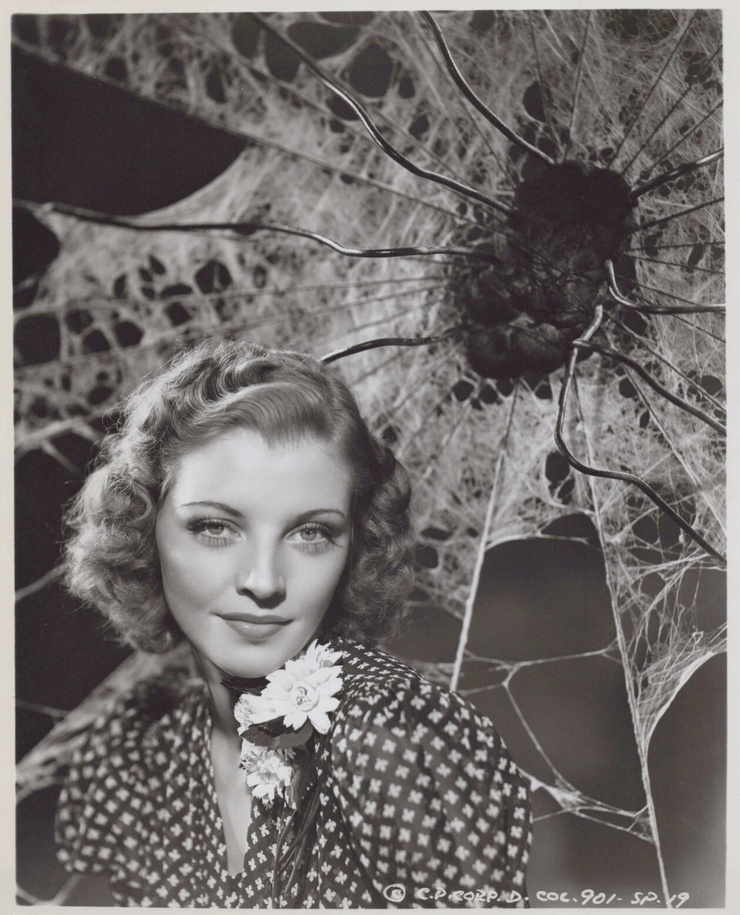 Iris Meredith