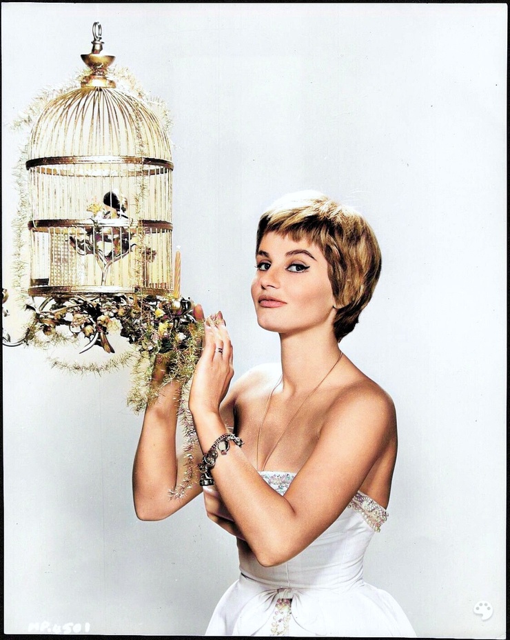 Jill Ireland Jill Ireland