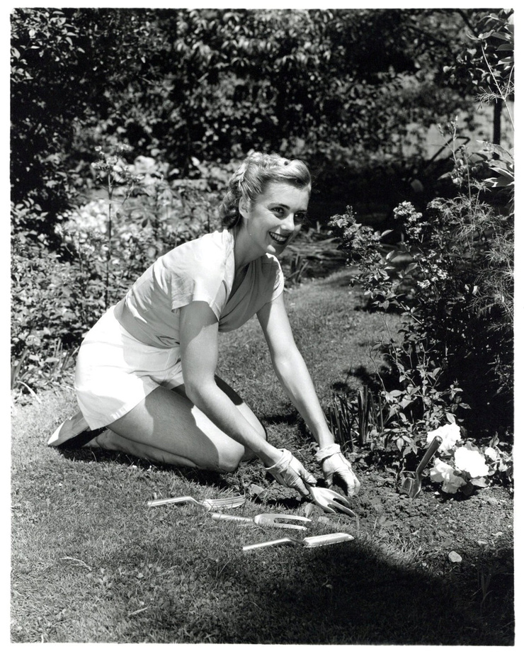 Marilyn Nash