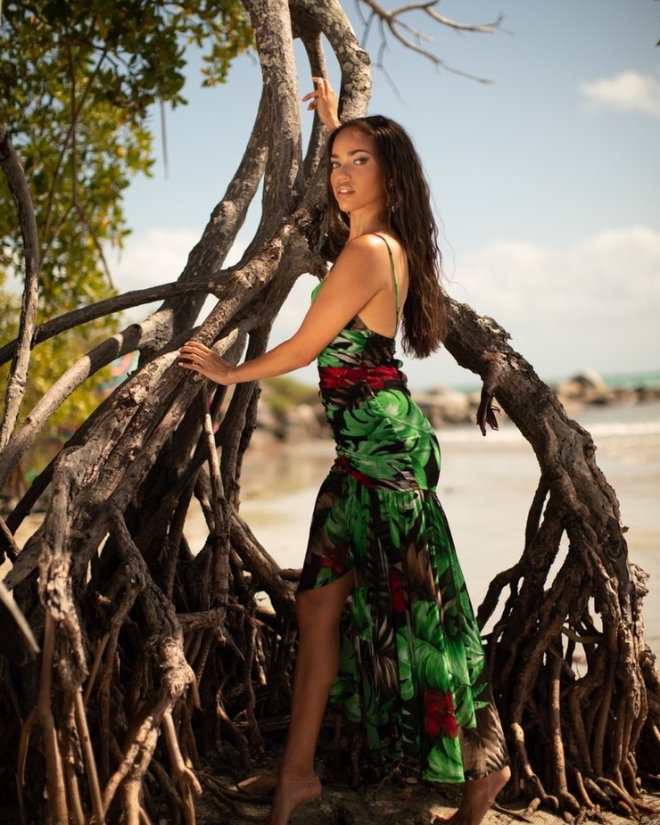 Sena Nasser