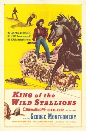 King of the Wild Stallions