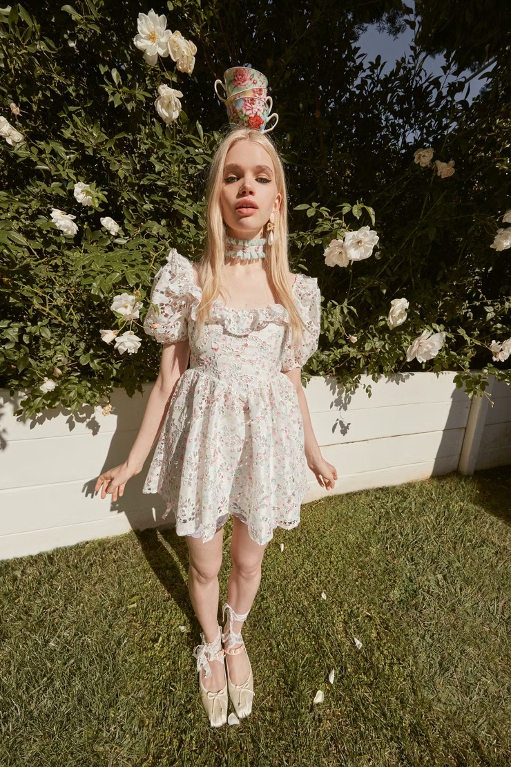 Stella Lucia