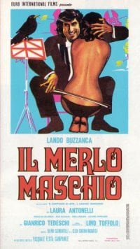 Il merlo maschio