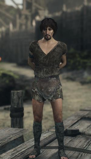 Rook (Dragon's Dogma 2)
