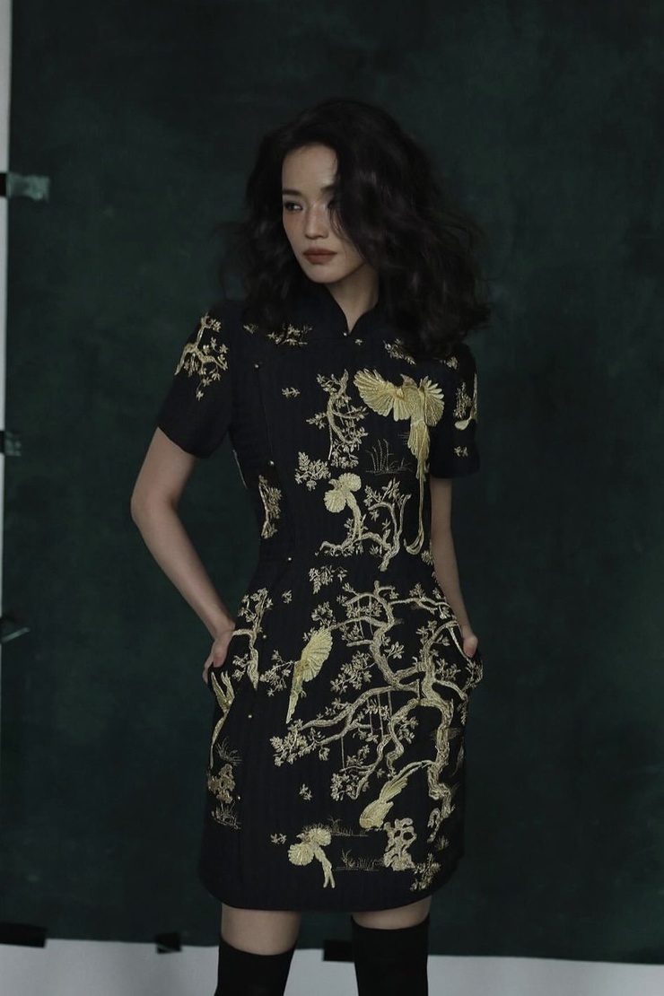 Qi Shu