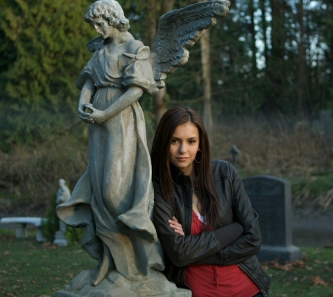 The Vampire Diaries