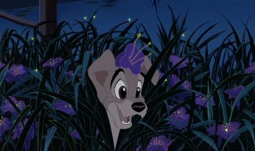Lady And The Tramp II: Scamp's Adventure