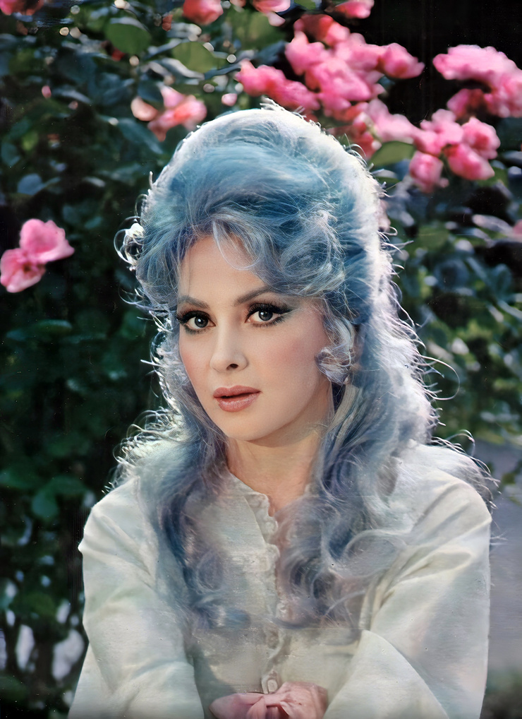 Gina Lollobrigida Gina Lollobrigida