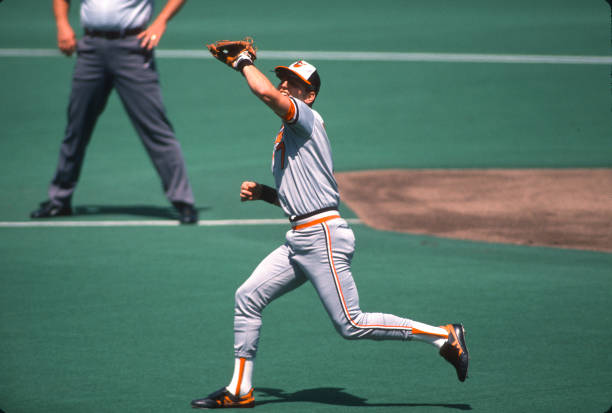 Billy Ripken