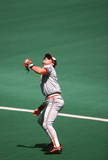 Billy Ripken