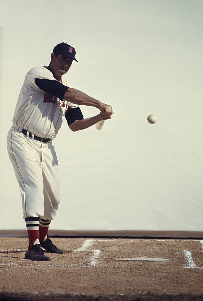 Ted Williams