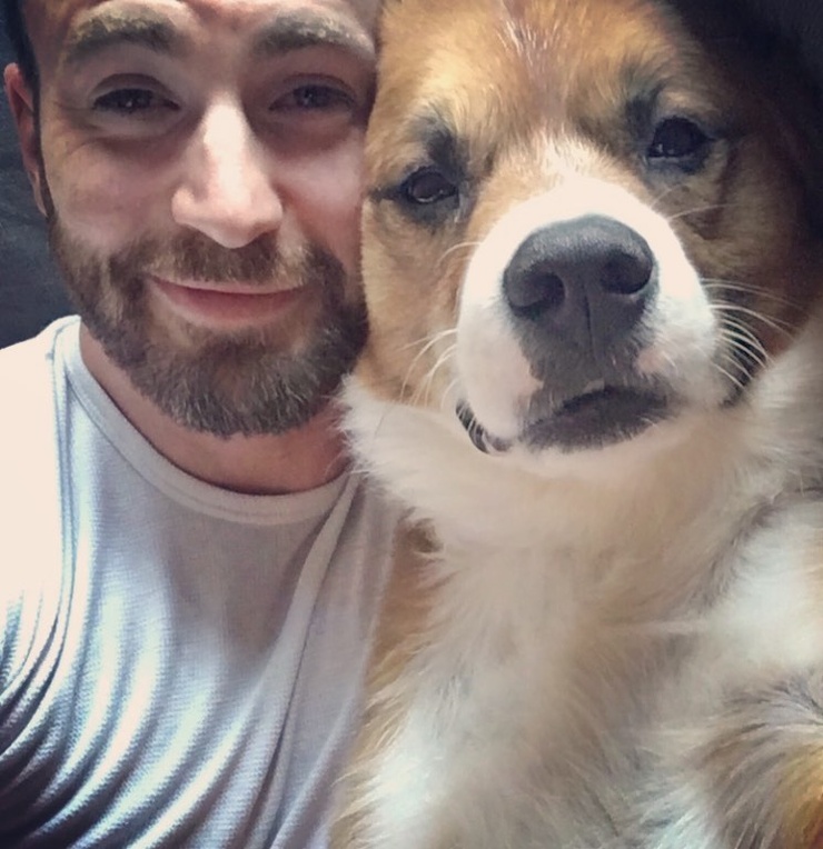 Chris Evans