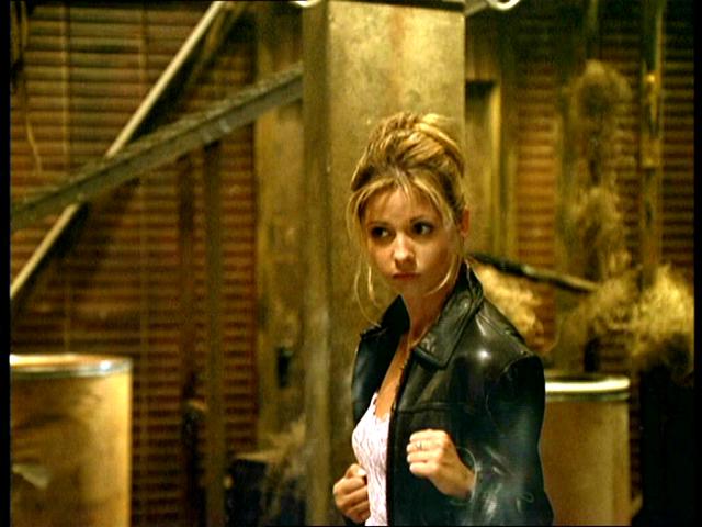 Buffy the Vampire Slayer