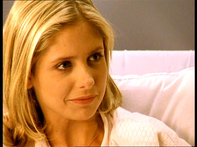 Buffy the Vampire Slayer Buffy the Vampire Slayer