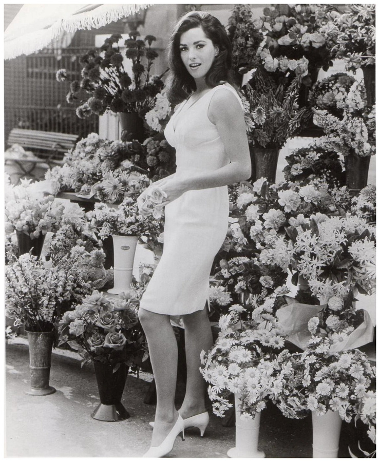 Edy Williams Edy Williams