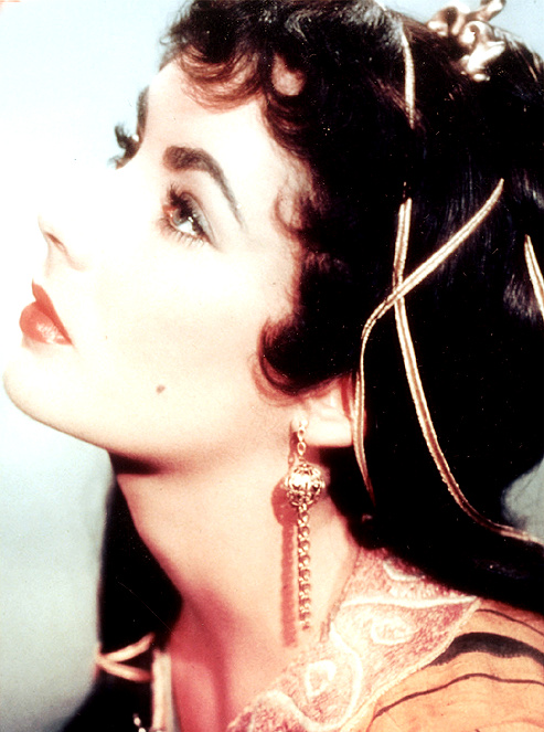 Elizabeth Taylor Elizabeth Taylor