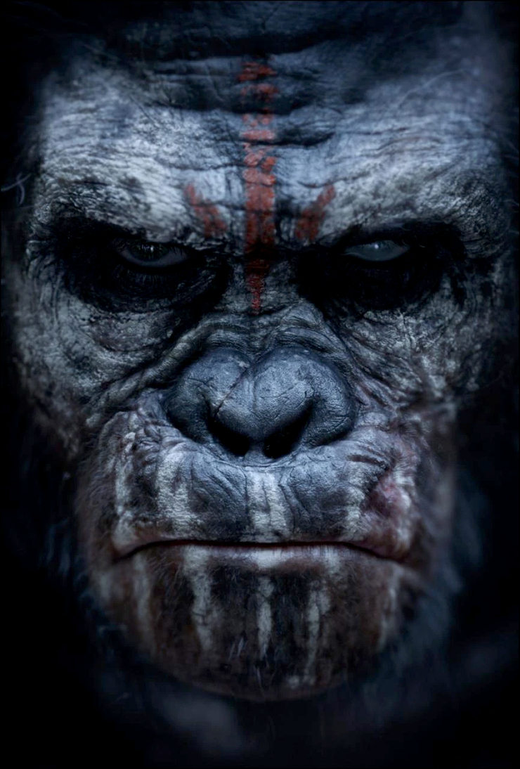 Koba
