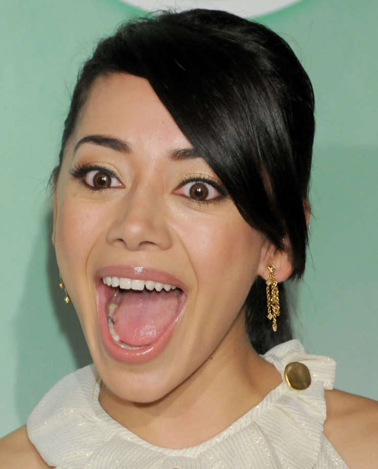 Aimee Garcia Aimee Garcia