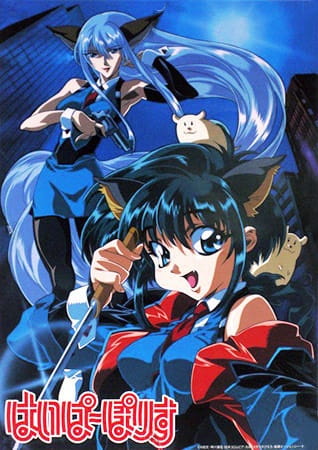 Hyper Police