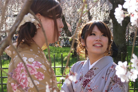 The Tsunami and the Cherry Blossom