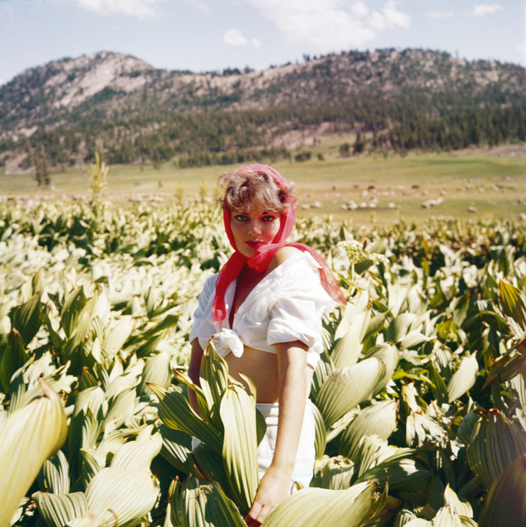 Marilyn Hanold