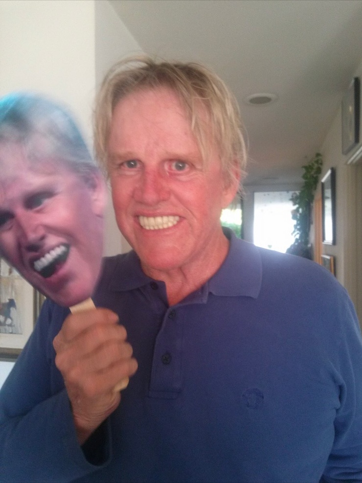 Gary Busey