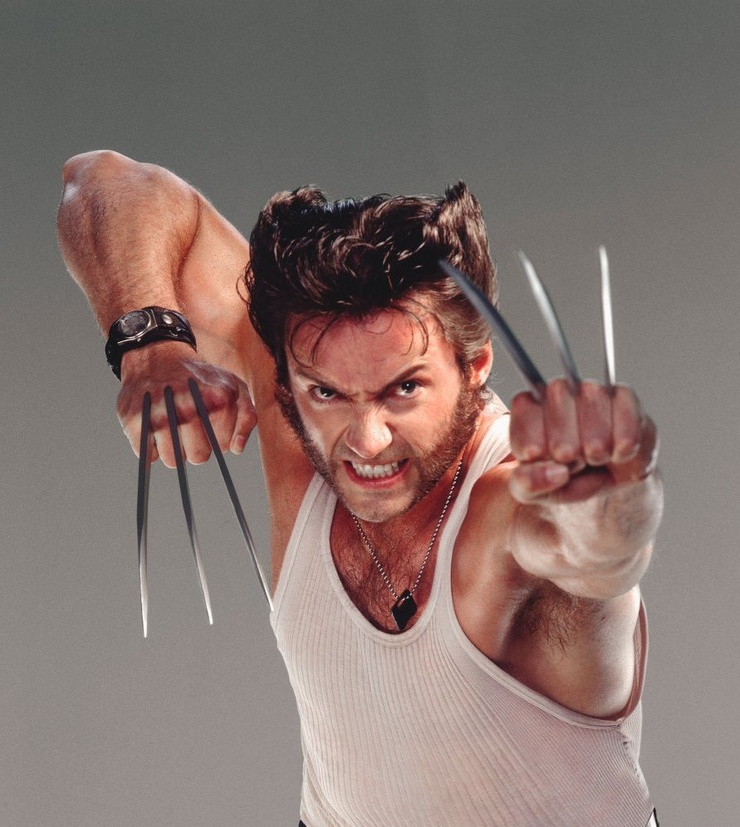 Wolverine / Logan  (Hugh Jackman)