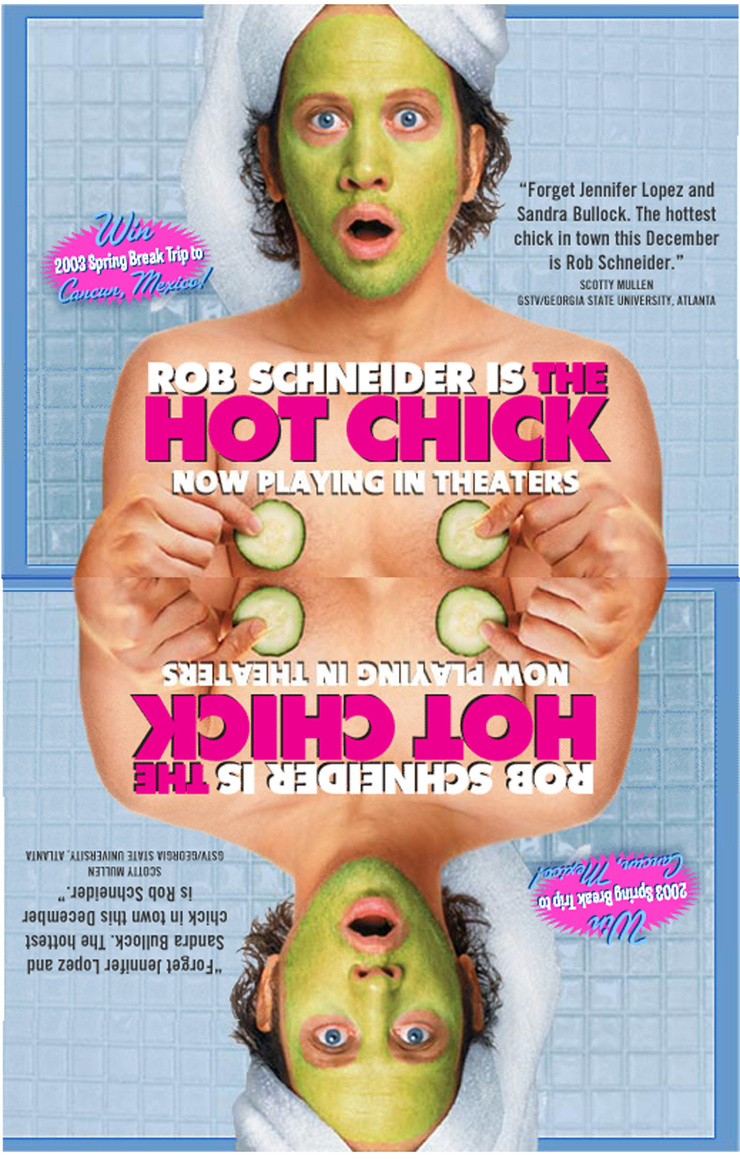 The Hot Chick