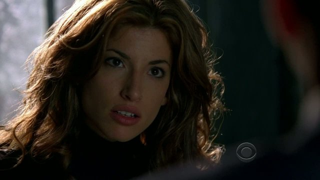 CSI: NY (2004 - 2013)